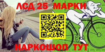 a pvp Сланцы
