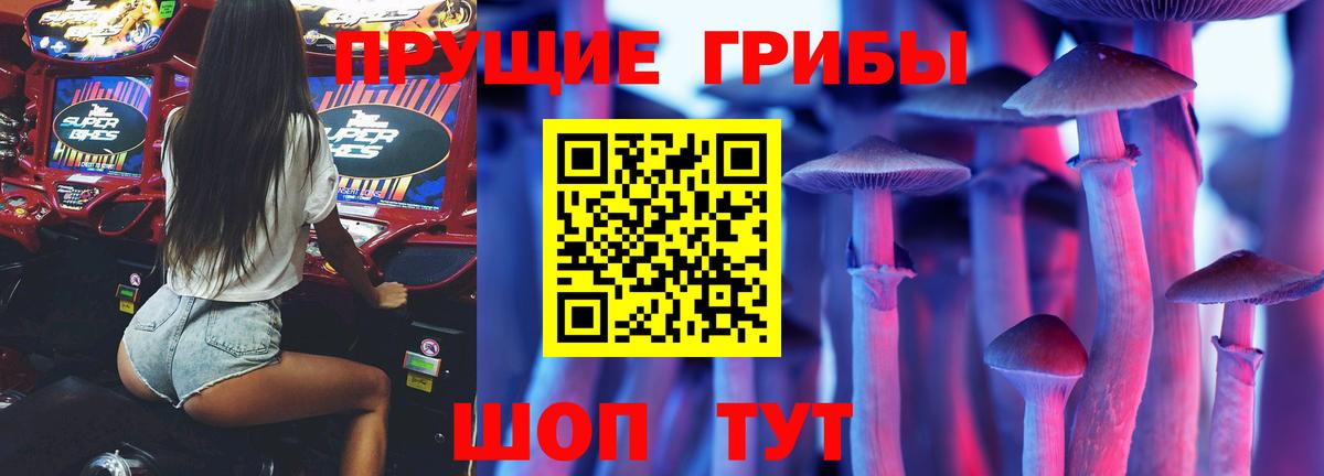 Муром  Галлюциногенные грибы мицелий  Вход с VPN 