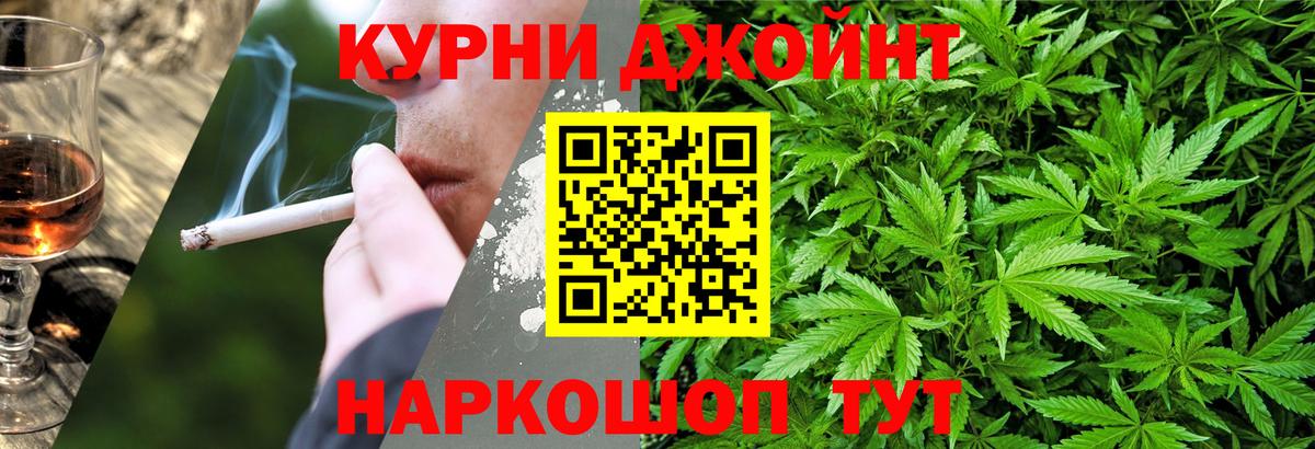 Муром  Каннабис гибрид  Марихуана Bruce Banner  Марихуана план  Вход с VPN 